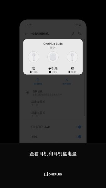 OnePlus Buds图片1