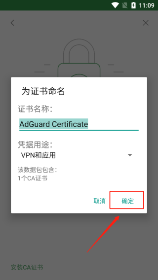 Adguard图片13