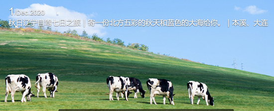 马蜂窝旅游图片2