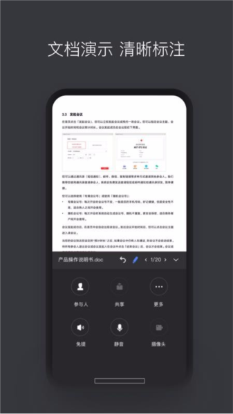 孔雀开会图片3