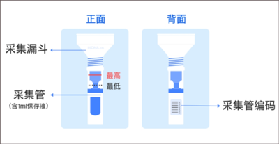 基因宝2