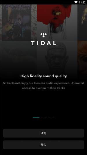 TIDAL1