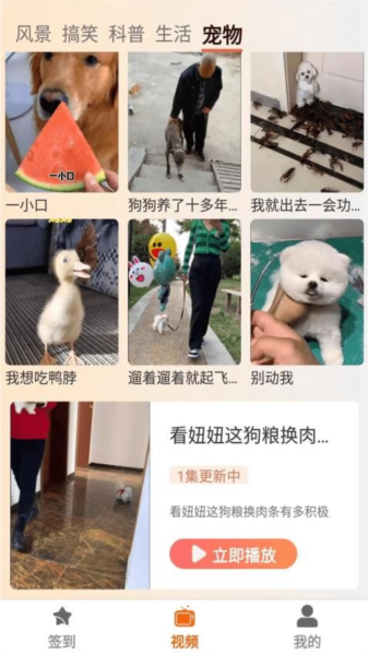 塔奇剧场1