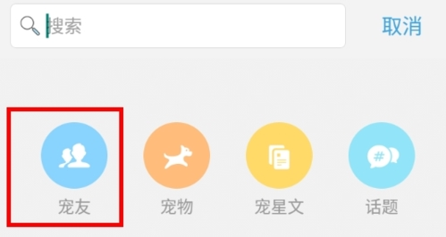 小佩宠物6