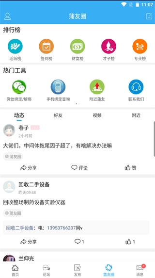 蒲公英访问者7