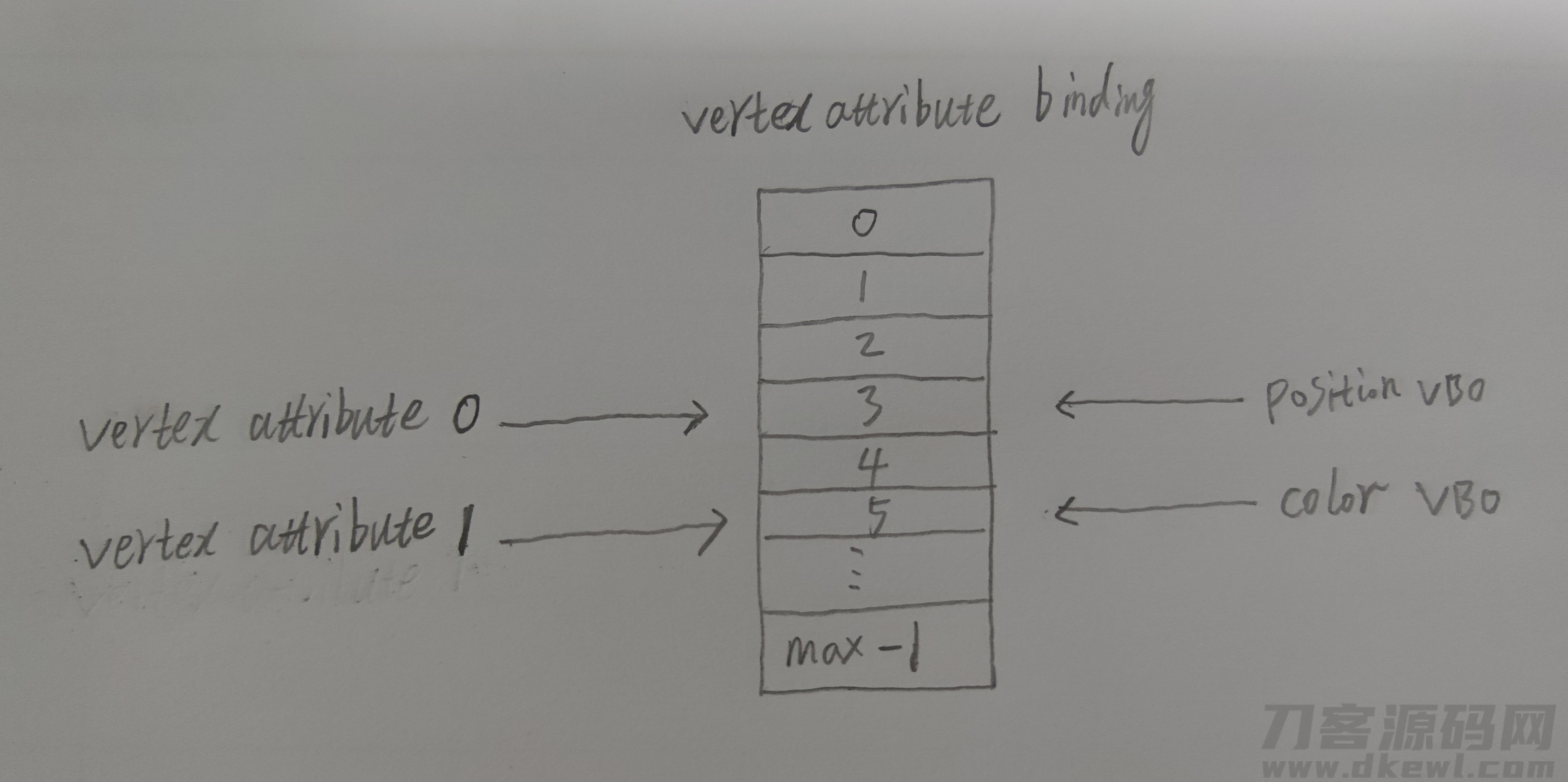 vertex attribute binding point