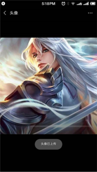 Honor of Kings图片23