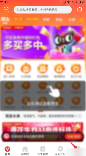 花生日记10