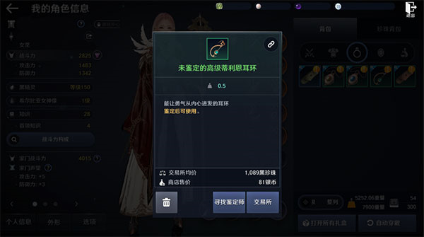 黑色沙漠10