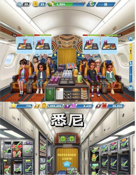 飞机大厨图片4