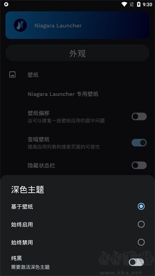 Niagara Launcher图片8
