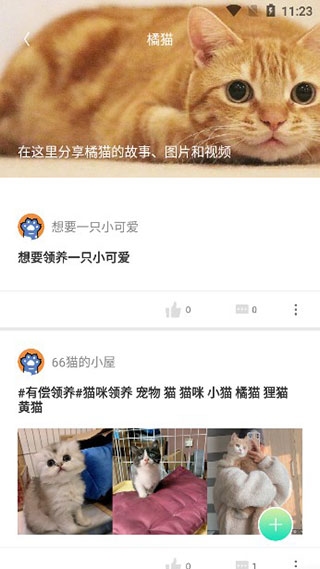 握爪9