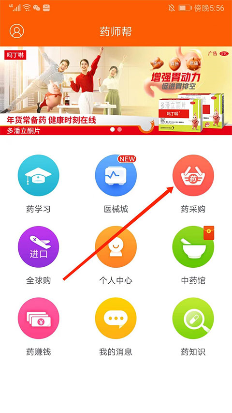 药师帮7