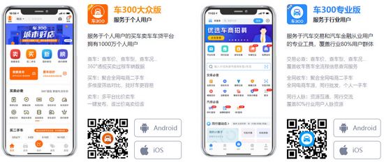 车300专业版图片17