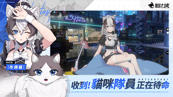 猫之城图片5
