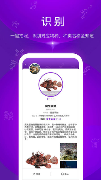 问鱼图片1