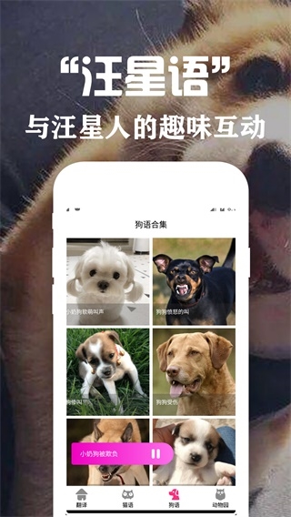狗语翻译交流器图片2