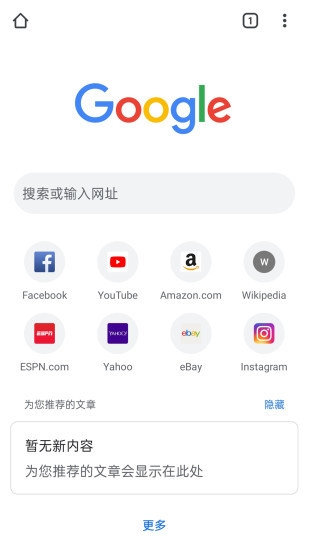 Google Chrome图片3