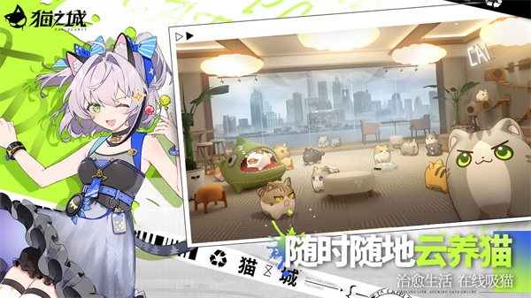 猫之城图片1