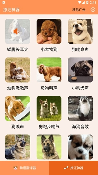 人狗交流器图片6