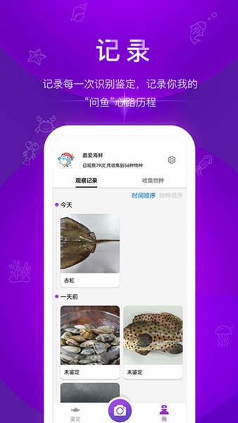 问鱼图片2