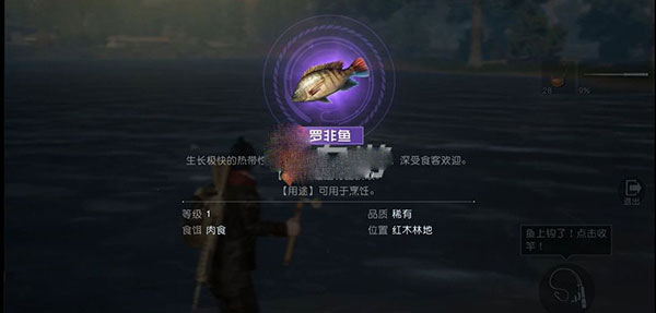 黎明觉醒8