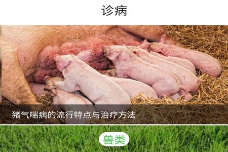 百畜兴旺app图片3