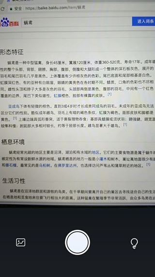 灵鹿文字识别app图片