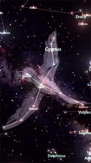 星布苍穹图片5