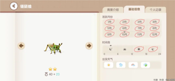 心动小镇图片24