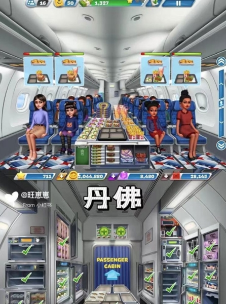 飞机大厨11