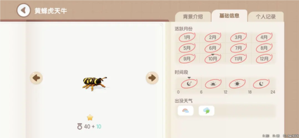 心动小镇图片22