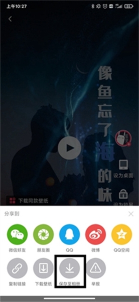 羞兔动态壁纸6