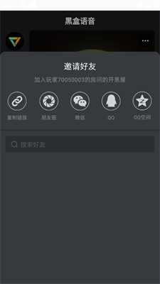 黑盒语音图片6