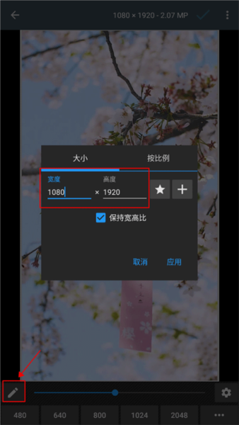 Photo Editor15