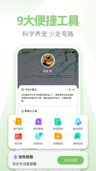 E宠商城4