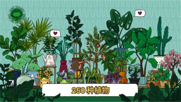 露露的家花园图片3