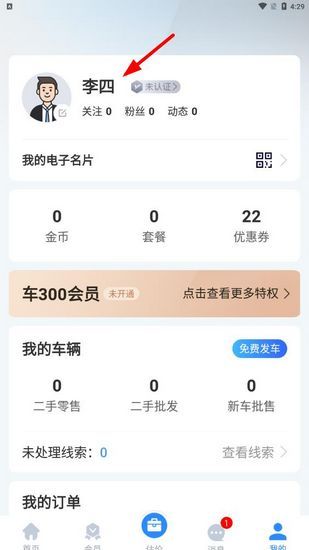 车300专业版图片13