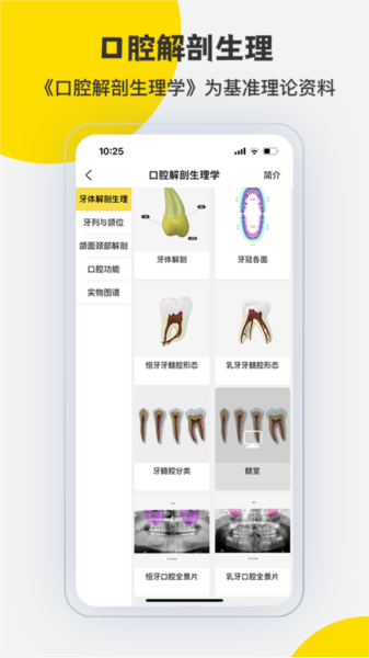 3Dbody解剖图片