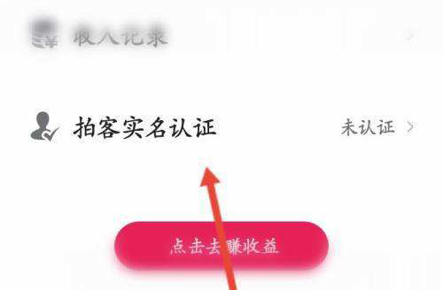 N视频12