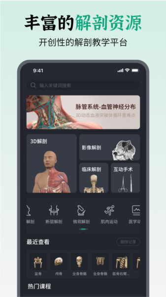 万康人体解剖图片3