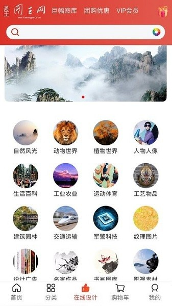 图王网图片1