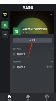 黑盒语音图片8