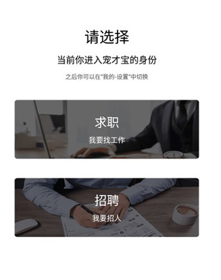宠才宝4