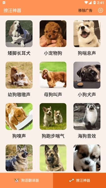 人狗交流器图片5