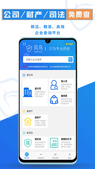 风鸟企业查询2
