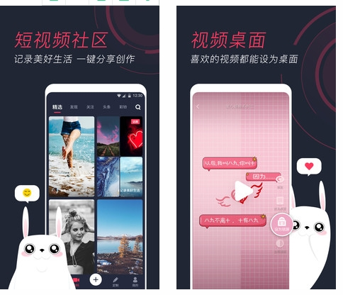 羞兔动态壁纸1