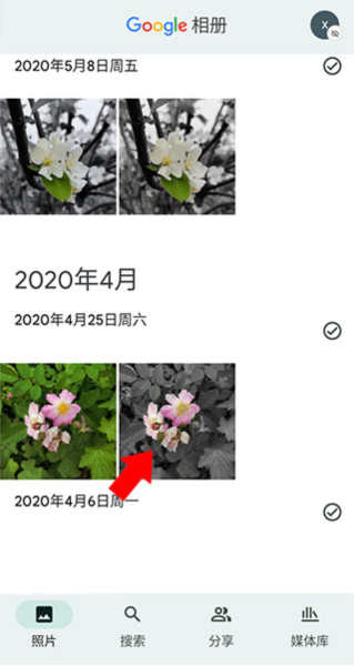 Google相册APP图片11