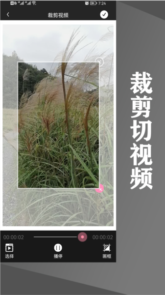 水印王图片2