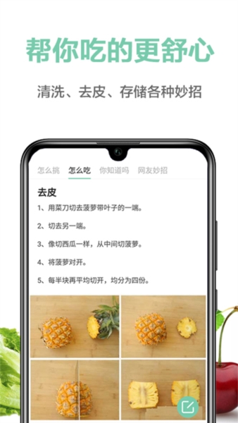 果蔬百科图片4